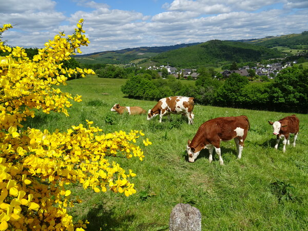 Sonnenweg Wanderung