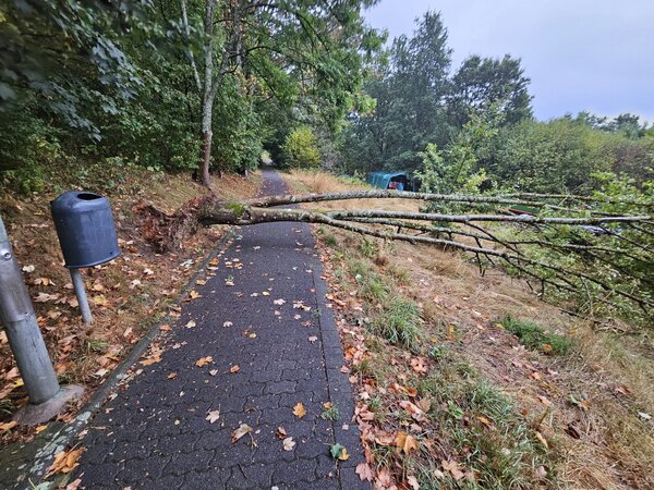 Bild vergr&ouml;&szlig;ern: 2ab325f31a732a864e5a28dde92c56b1_g