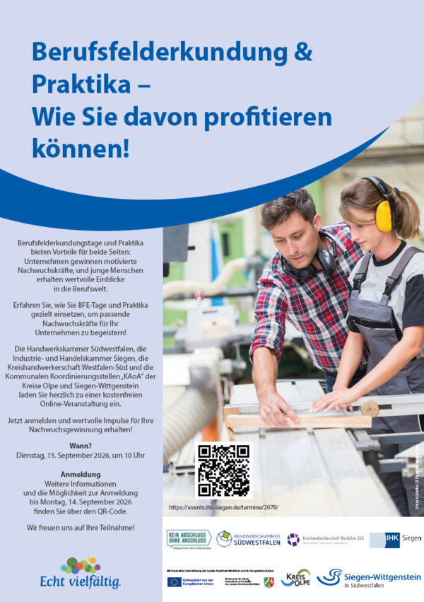 Bild vergr&ouml;&szlig;ern: Plakat Berufsfelderkundung und Praktika Webinar