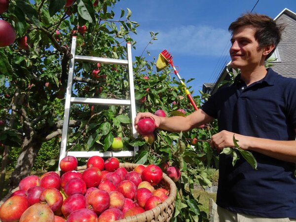 Bild vergr&ouml;&szlig;ern: Mobile Obstpresse Irmgarteichen