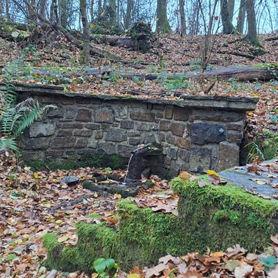 Bild vergr&ouml;&szlig;ern: Herbstwanderung 2025 (6)