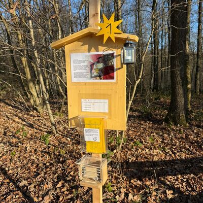 Bild vergr&ouml;&szlig;ern: Deuz Weihnachtsweg (6)