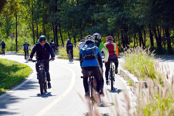 Beispielfoto Fahrrad
