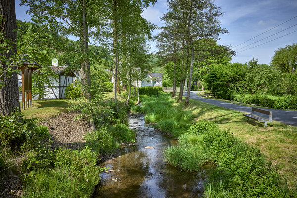Bild vergr&ouml;&szlig;ern: Nenkersdorf Bach